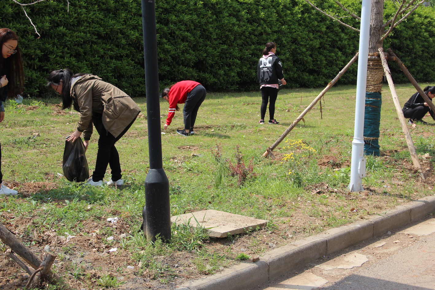 IMG_6331.JPG IMG_6331.JPG